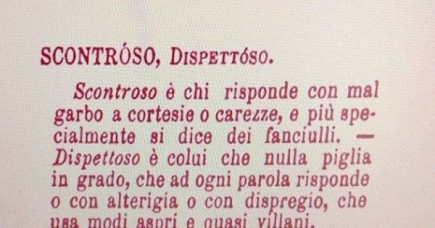 IL DISPETTOSO